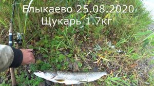 Артём щукарь 1.7кг Елыкаево 25.02.2020