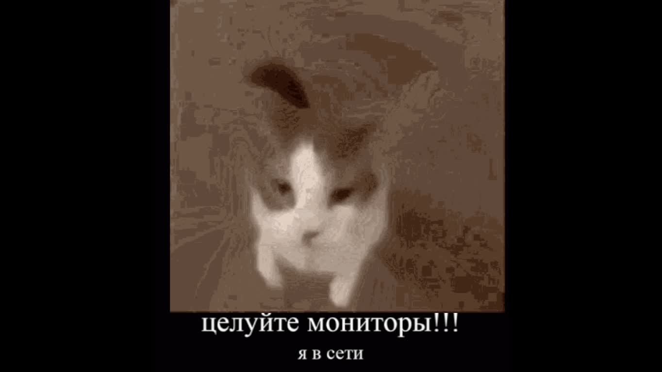 стрим стрим стрим стрим