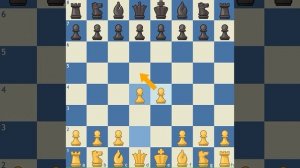 Дебют 1 часть. Chesskid