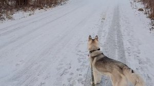 Прогулка по г Сегежа-Н Фадеев