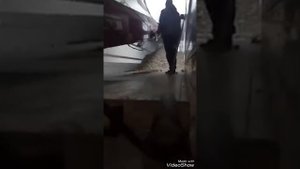 Странная погрузка картофеля в рефрижератор.Сколько работаю-такого не видел