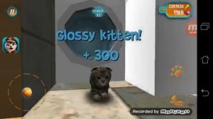 Как пройти первые уровни? - Cat Simulator / Симулятор Кошки 2015