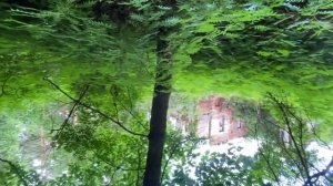 Показываю заброшку в Твери!