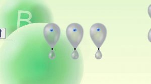 Гибридизация атомных орбиталей на примере BF3