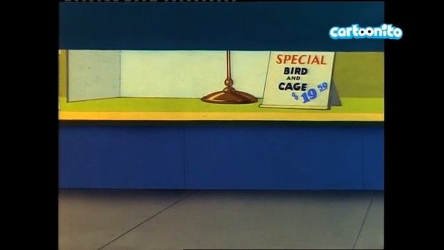 Cartoonito Italy Continuity & Commentary Sepember 18, 2021 Pt 3 смотреть онлайн