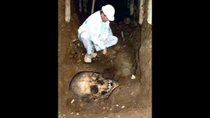 Скелеты гигантов, загадка?