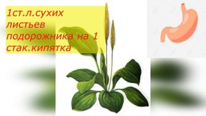 Лечение Гастрита травами ч 2