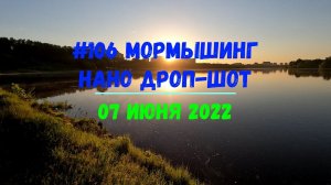 #106 Мормышинг нано дроп-шот 07 июня 2022