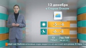 Погода в Старом Осколе на 13 декабря