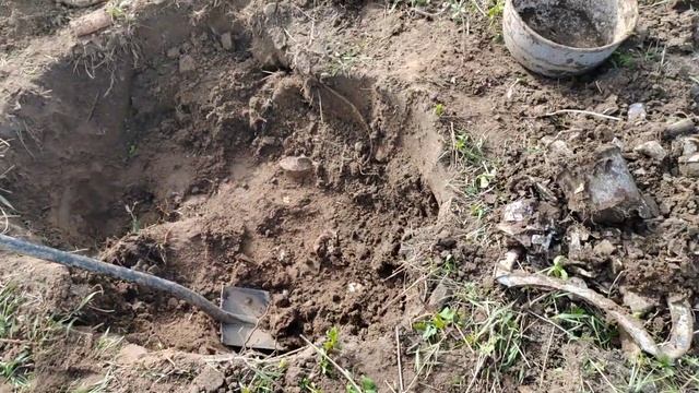 шурф в жару,без воды еле выжил) #пруссия#xpdeus#весна2024#поискмонет