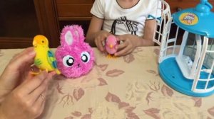 Говорящие птички Little  Live  Pets Bird Cage Unboxing with Talking Parrot Toy