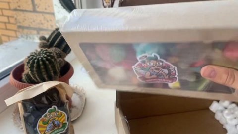 Мармеладыч часть 1 #мармеладыч