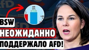 БУНДЕСТАГ В ШОКЕ- BSW голосует за предложение AfD!