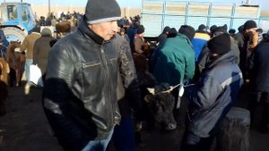 Хоразм мол бозори кум бозори