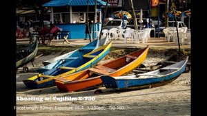 Fujifilm XC 50-230mm F4.5-6.7 II Sample Images [X-Series] Telephoto Zoom Lens for Wildlife/Sports