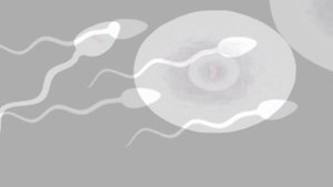 Изменчивость - комплект учебных материалов