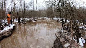 День дурака или как остаться в живых 2024