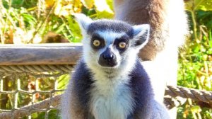 15896781-uhd_3840_2160_25fps