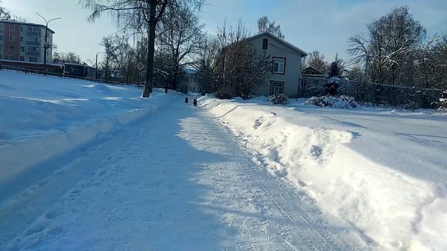 Лаврентий и Брайтан гуляют при морозе -25° смотреть онлайн