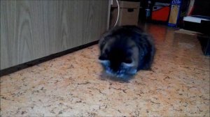 жестокие игры