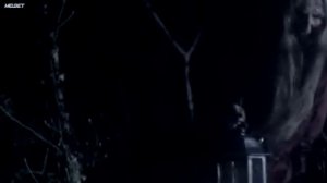 Оборотень ужас