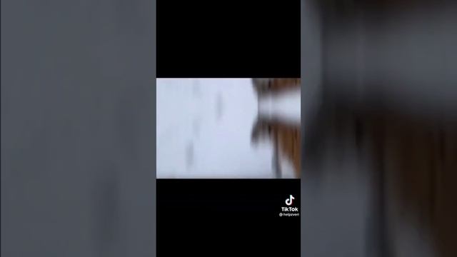 Алабай против стая волков # Alabai against a pack of wolves смотреть онлайн