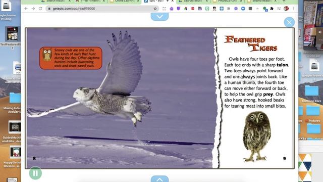 11 19 Owl's Writing Focus смотреть онлайн