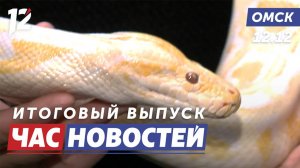 Спрос на змей / Ликвидация последствий снегопада / Вековые деревья. Новости Омска