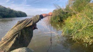 Чехонь в Астрахани легко рыбалка возле дома