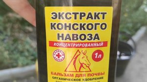 Подкормка лука в июне для хорошего урожая.