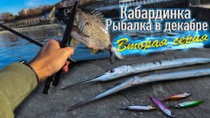 Кабардинка рыбалка в декабре. Вторая серия.