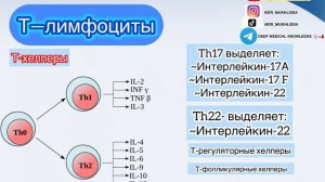 Лейкоциты. Лейкоцитарная формула.