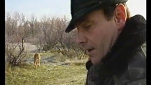 Охота на зайца с грейхаундами | Выпуск №113 (UKR)