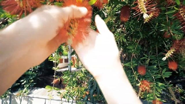 Деревня Греции / Skala Forkas смотреть онлайн