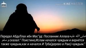 "Гуроба" Шейх Халид Рашид (Да освободит его Аллах) الشيخ خالد الراشد(فك الله أسره)ـ الغرباء.