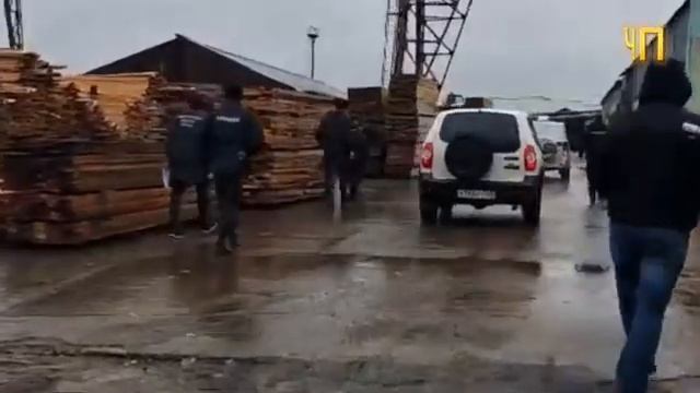 ШОК! Банда мигрантов избила студентов, а другая БАНДА мигрантов ПОЛИЦЕЙСКИХ их ПРИКРЫВАЕТ! #ЧП #Ново смотреть онлайн