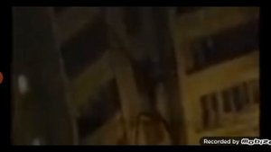 Палочник буратино