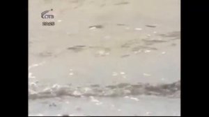 Сладкое  озеро в Челябинской области в Октябрьском районе.