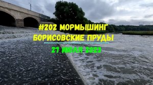 #202 Мормышинг Борисовские пруды 27 июля 2023