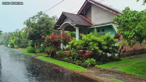 Сверхсильный дождь поможет заснуть за 3 минуты и победить бессонницу - Asmr Прогулка под дождем.