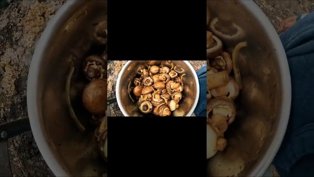 Вкуснейшие овощи на углях / Лучше мяса смотреть онлайн