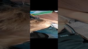 урок русского языка.