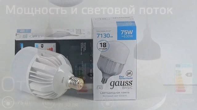 Мощные светодиодные лампы Gauss серии Basic T140, T160 смотреть онлайн