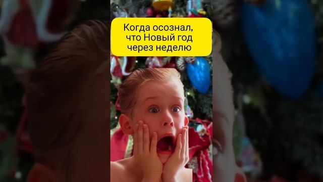 Когда осознал, что Новый год через неделю