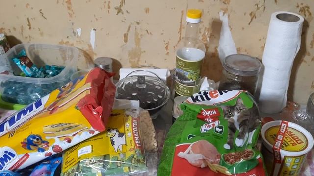 Перекусы в школу!Наши грибочки!