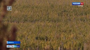 Устойчивый к засухе и морозам виноград создали в Крыму: когда высадят растения