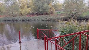 01.10.2024 года. Китайский парк города Твери глазами деревенской бабушки. пасмурный день .Прогулка.