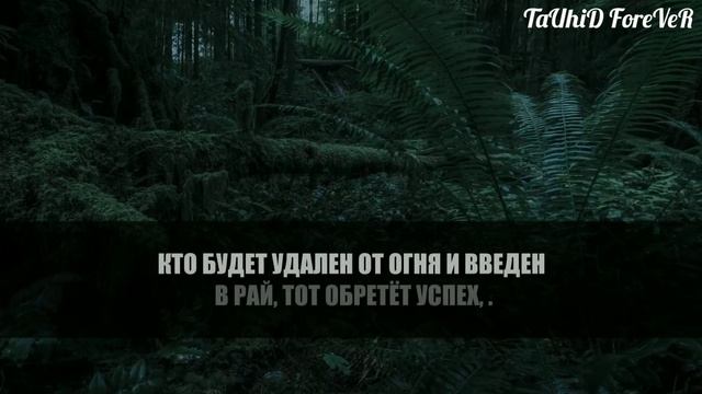 земная жизнь — | всего лишь наслаждение обольщением |
