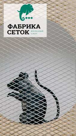 Мелкая оцинкованная сетка для защиты от грызунов, мышей, крыс, кротов. Просечно-вытяжная ЦПВС 5х5мм