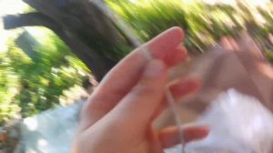 ТЕРРАРИУМ с ЗЕМЛЁЙ ДЛЯ ХОМЯКА!